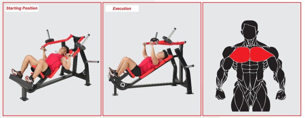 Qli Plate Loaded Chest Press QCP660 builds toner chest muscles