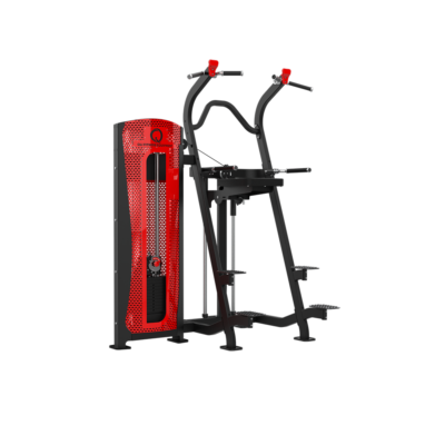 QLI ASSISTED DIP CHIN MACHINE QADM193